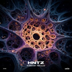 Elementary Particles