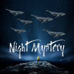 NIGHT MISTERY