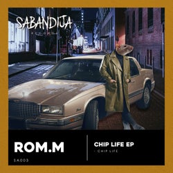 Chip Life (ROM.M)