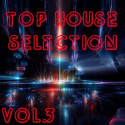 Top House Selection Vol. 3
