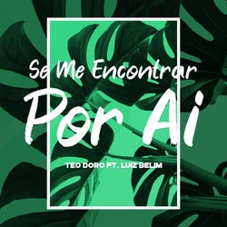 Se Me Encontrar Por Ai (feat. Luiz Belim)