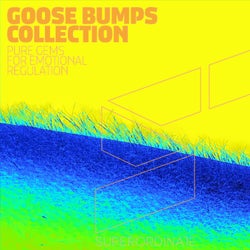 Goose Bumps Collection, Vol. 12