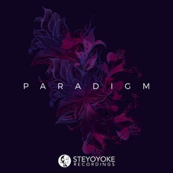 Steyoyoke Paradigm, Vol. 02