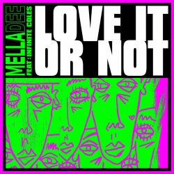 Love It or Not (feat. Infinite Coles) (Original Mix)