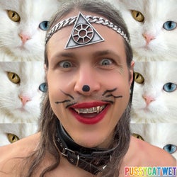 PussyCat Wet