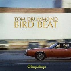 Bird Beat