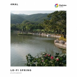 Lo-Fi Spring