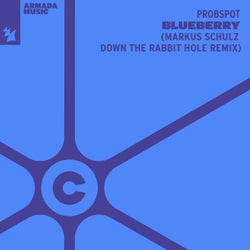 Blueberry - Markus Schulz Down The Rabbit Hole Remix