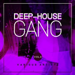 Deep-House Gang, Vol. 3