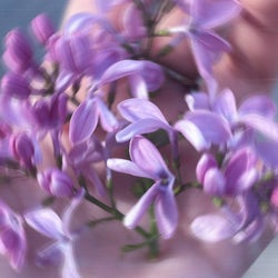 about u