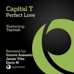 Perfect Love (feat. Taymah)