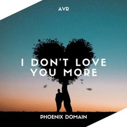 I Don't Love You More