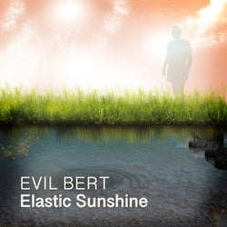 Elastic Sunshine