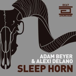 Sleep Horn