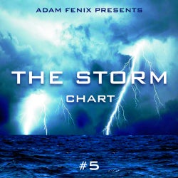 THE STORM CHART #5 - by ADAM FENIX
