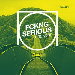 Fckng Serious - One Year