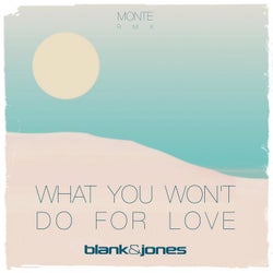 What You Won't Do for Love (Monte Remixes)