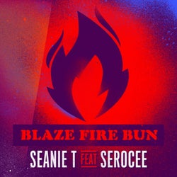 Blaze Fire Bun
