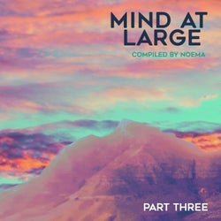 Mind at Large, Pt. III