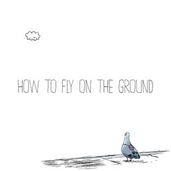 How To Fly On The Ground