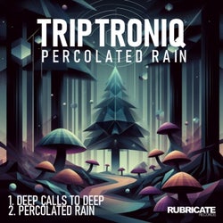 Percolated Rain EP