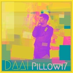 Pillow17