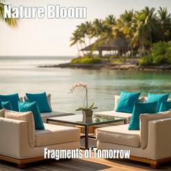 Fragments of Tomorrow