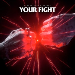 Your Fight