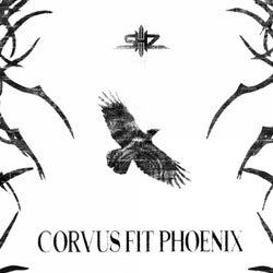 Corvus Fit Phoenix