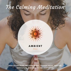 The Calming Meditation (Meditation Music, Relaxing Music, Calming Music, New Age Meditation, Bird Sounds For Meditation)