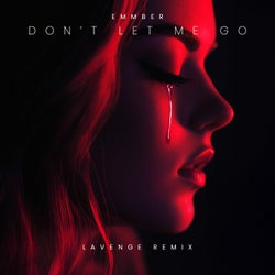 Don't Let Me Go (LAVENGE REMIX)