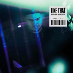 Like That (Extended Mix)