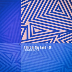 A Bird in the Land - EP