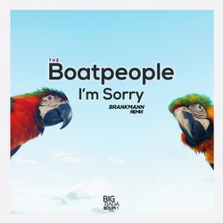 I'm Sorry (Brankmann Remix)