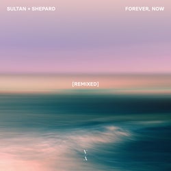 Forever, Now Remixed