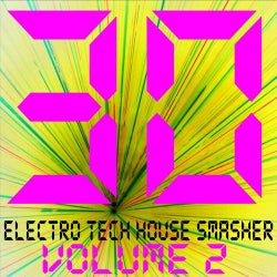 30 Electro Tech House Smasher Vol. 2