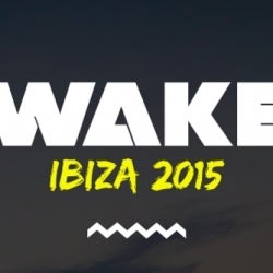 THE BEST OF IBIZA 2015