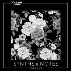 Synths And Notes 35