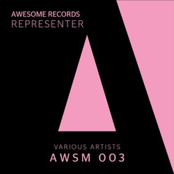 Awsm 003 - Representer
