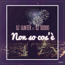 Non so cos'e (feat. DJ Doddo)