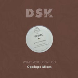 What Would We Do - Opolopo Mixes