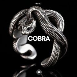 Cobra (Extended Mix)