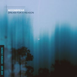 Dream for a Reason