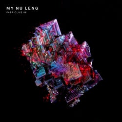 FABRICLIVE 86: My Nu Leng