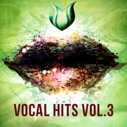 Vocal Hits, Vol. 3