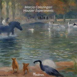 Housier Experiments