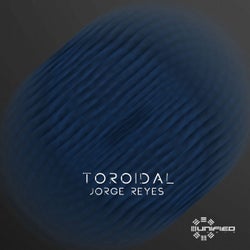 Toroidal (feat. Akkan)