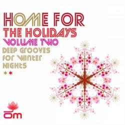 Home For The Holidays Volume Two