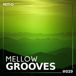 Mellow Grooves 029