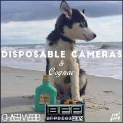 Disposable Cameras & Cognac